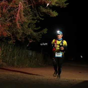 Runner Photo 5531555