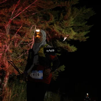 Runner Photo 5531597