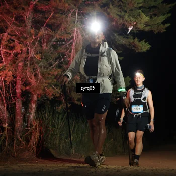 Runner Photo 5531604