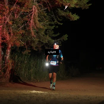 Runner Photo 5531638