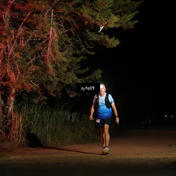 Runner Photo 5531684