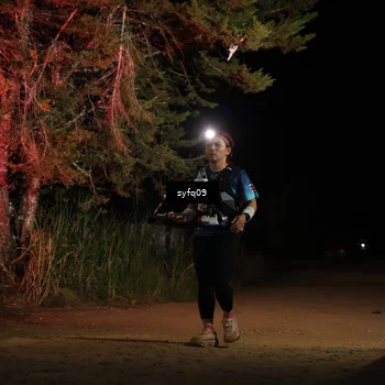 Runner Photo 5531701
