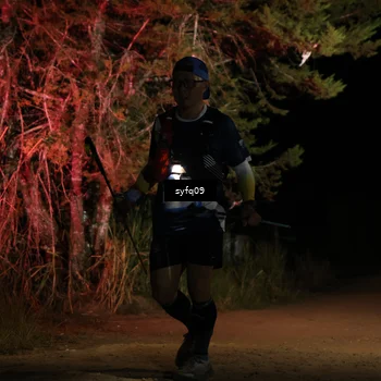 Runner Photo 5531706