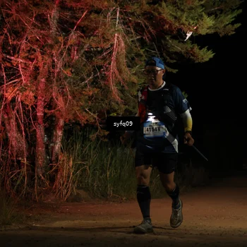 Runner Photo 5531742