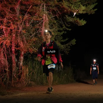 Runner Photo 5531750