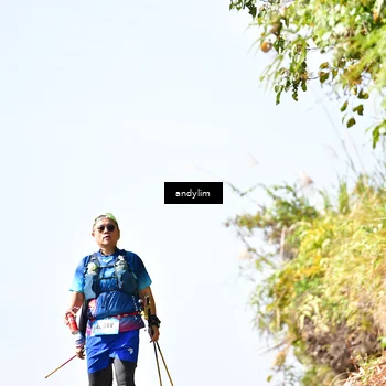 Runner Photo 5531753
