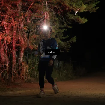 Runner Photo 5531777