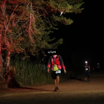 Runner Photo 5531784
