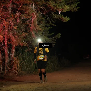Runner Photo 5531785