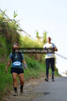 Runner Photo 5531804