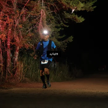 Runner Photo 5531827