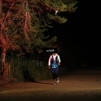 Runner Photo 5531853