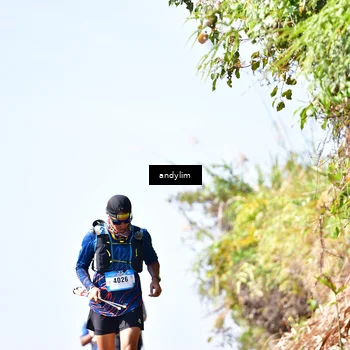 Runner Photo 5531860
