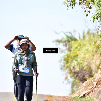 Runner Photo 5531991
