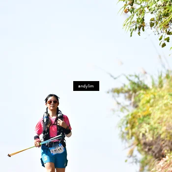 Runner Photo 5532478