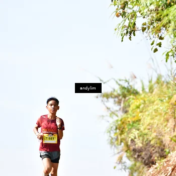 Runner Photo 5532681