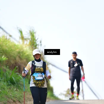 Runner Photo 5534281