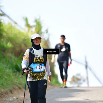Runner Photo 5534305