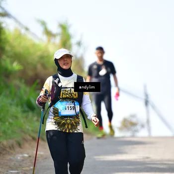 Runner Photo 5534308