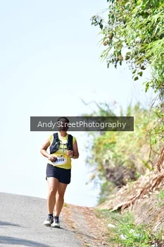 Runner Photo 5534692