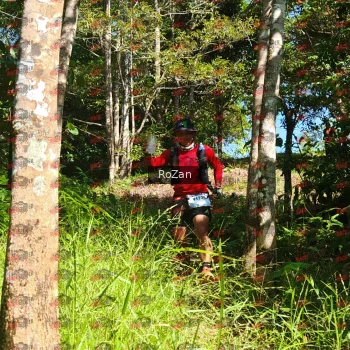 Runner Photo 5535
