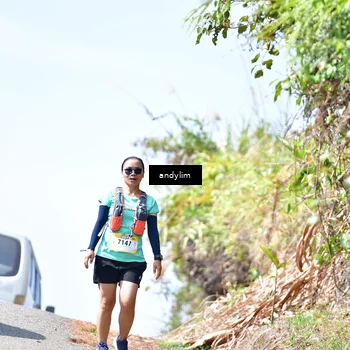 Runner Photo 5537854