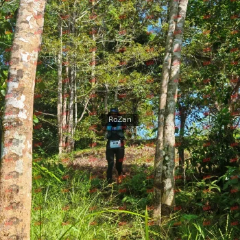 Runner Photo 5539