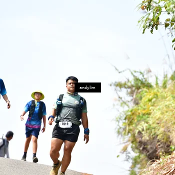 Runner Photo 5539838