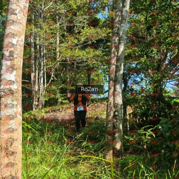 Runner Photo 5541