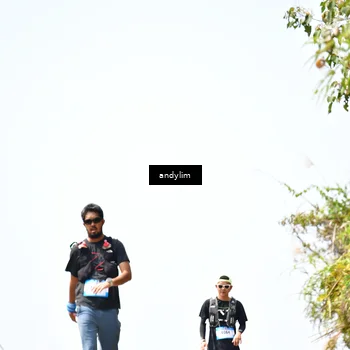 Runner Photo 5541493