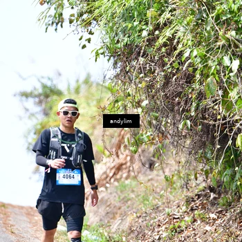 Runner Photo 5541501