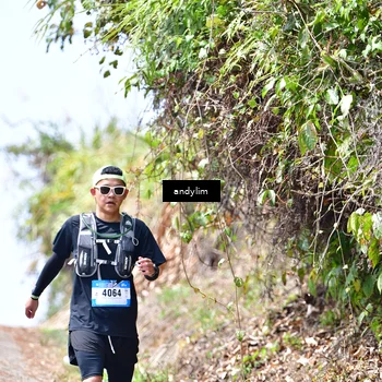 Runner Photo 5541506