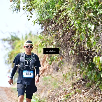 Runner Photo 5541512