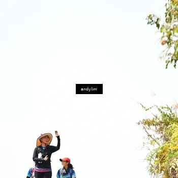 Runner Photo 5541516