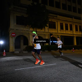 Runner Photo 5541648