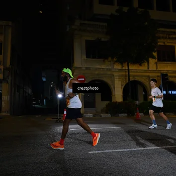 Runner Photo 5541651