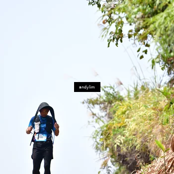 Runner Photo 5542097