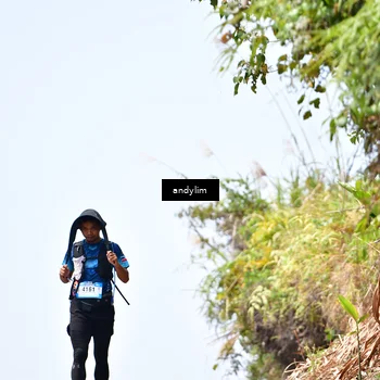 Runner Photo 5542124