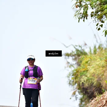 Runner Photo 5542194