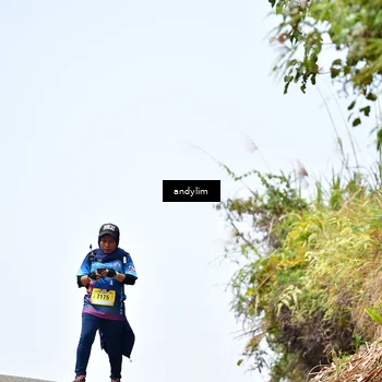Runner Photo 5542246