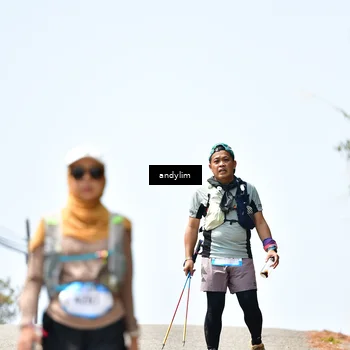 Runner Photo 5542500