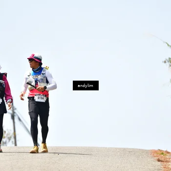 Runner Photo 5542571