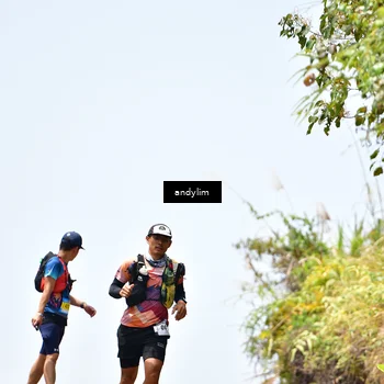 Runner Photo 5542655