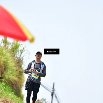 Runner Photo 5542742