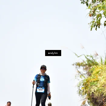 Runner Photo 5542948