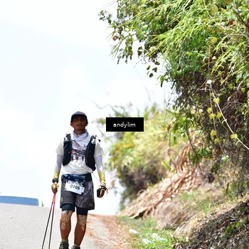 Runner Photo 5543626