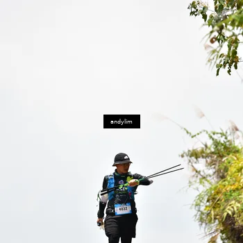 Runner Photo 5543924