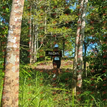 Runner Photo 5544