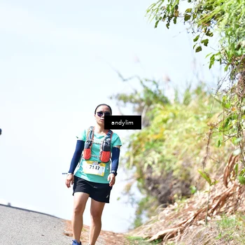 Runner Photo 5544697