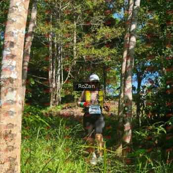 Runner Photo 5545